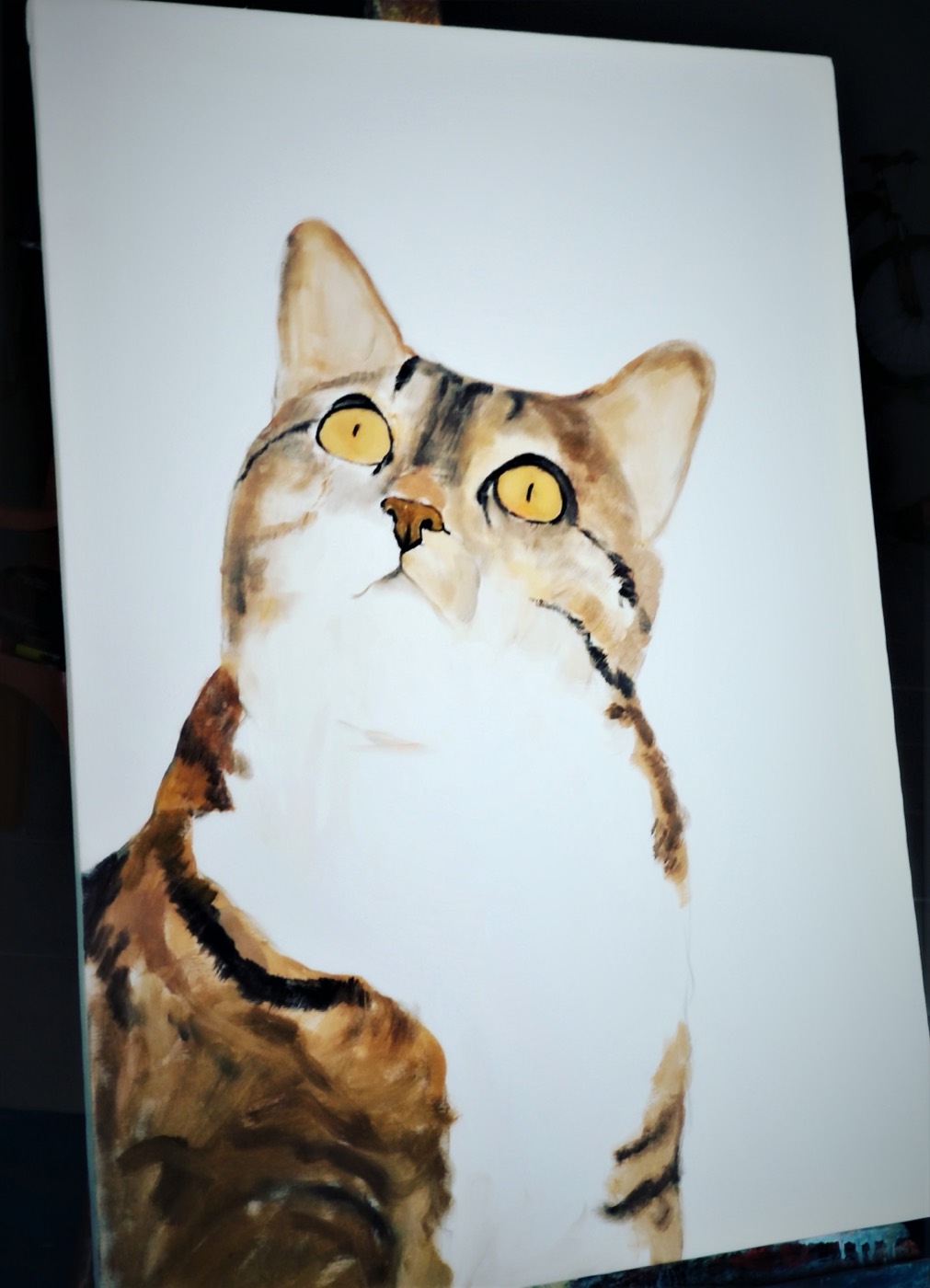 Fotoğraftan çizilmiş kedi portresi, hayvan portre çalışması
